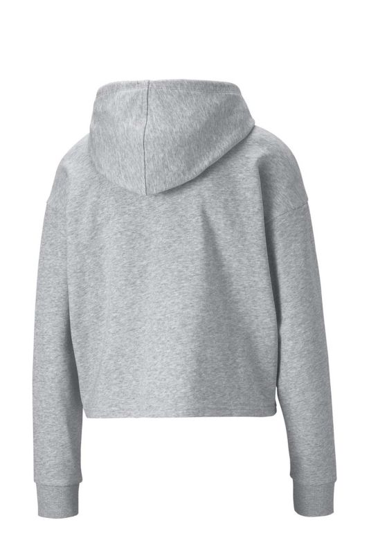 ESS Cropped Logo Hoodie T Gray Women Sweatshirt