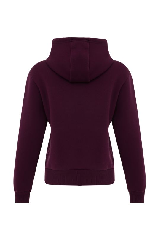 RI SL FLEECE HOODIE Purple Women's Sweatshirt