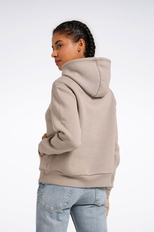 RI SL FLEECE HOODIE Gray Women's Sweatshirt